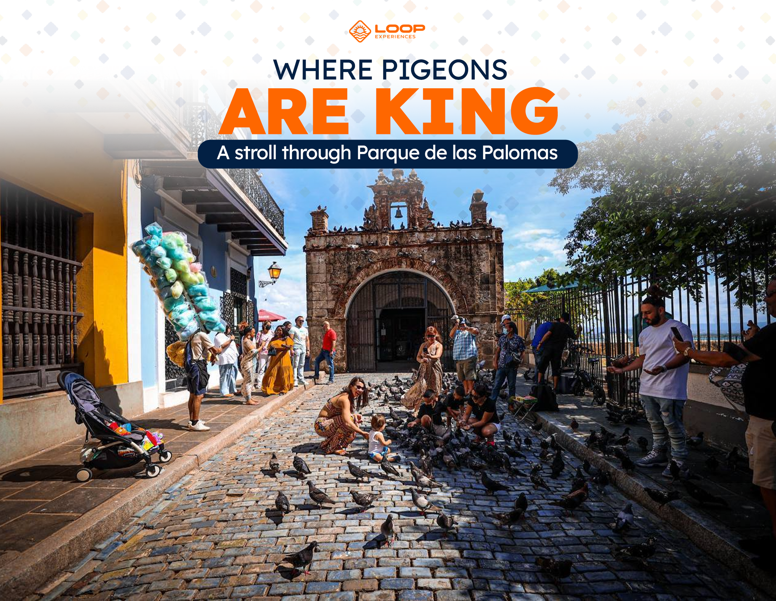 portada Where Pigeons Are King 21.01